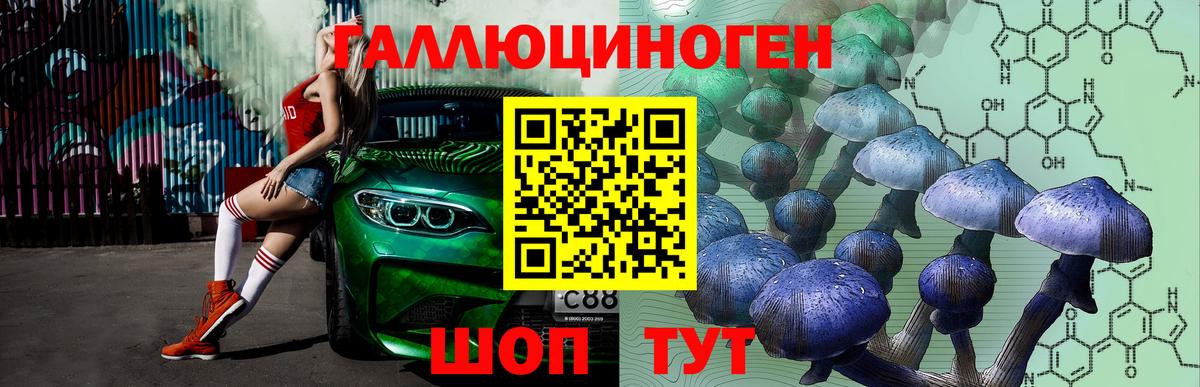 Дубна  Псилоцибиновые грибы Cubensis  Вход с VPN 